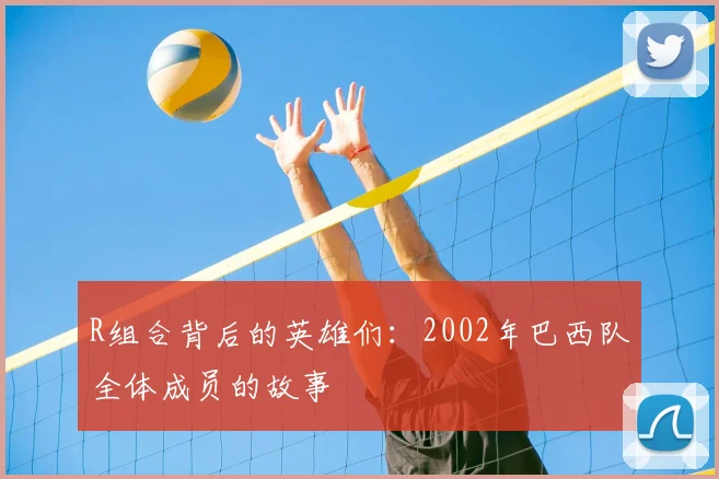 R组合背后的英雄们:2002年巴西队全体成员的故事