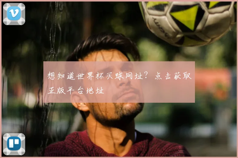 想知道世界杯买球网址？点击获取正版平台地址