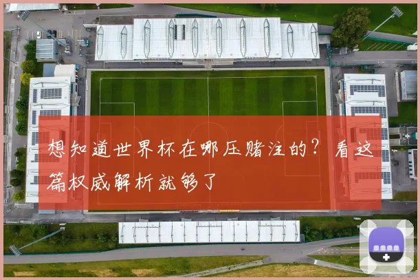 想知道世界杯在哪压赌注的？看这篇权威解析就够了