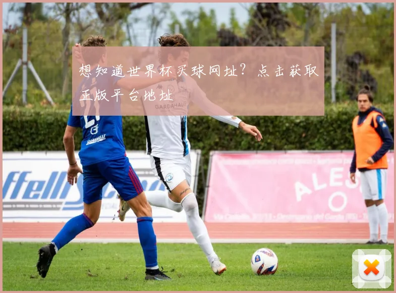 想知道世界杯买球网址？点击获取正版平台地址