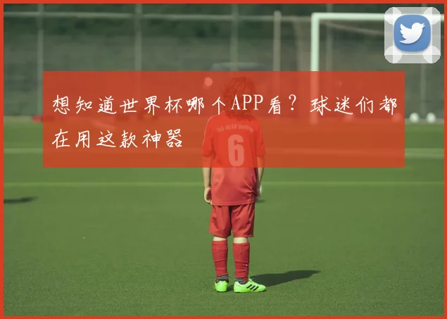 想知道世界杯哪个APP看？球迷们都在用这款神器