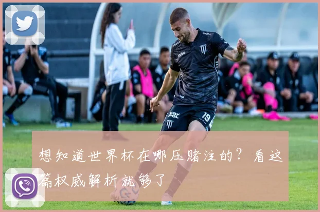 想知道世界杯在哪压赌注的？看这篇权威解析就够了