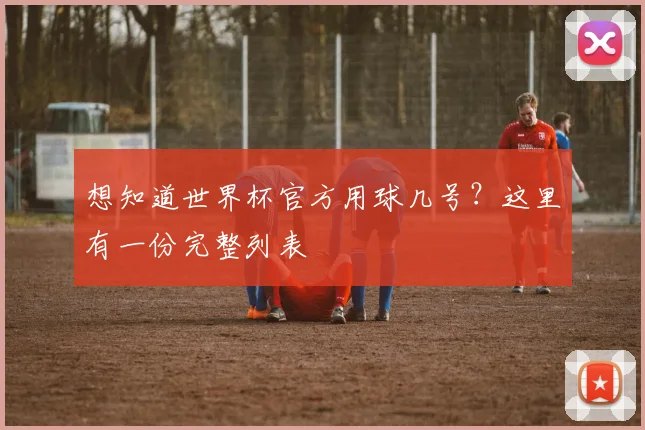 想知道世界杯官方用球几号？这里有一份完整列表