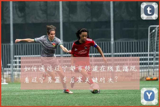 如何通过辽宁都市频道在线直播观看辽宁男篮季后赛关键对决？