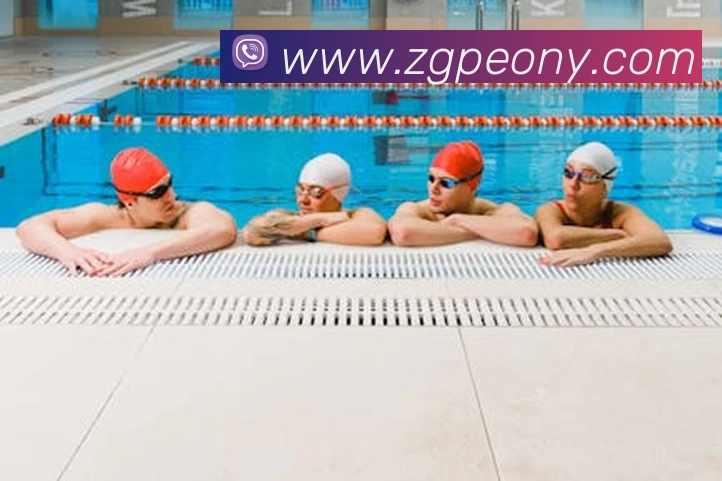 博亚体育app官方入口APP 封面图